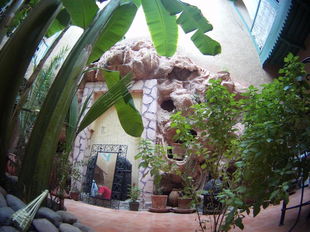 Riad Dar Mchicha Marrakesh Ngoại thất bức ảnh