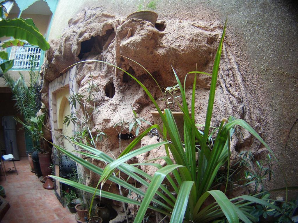 Riad Dar Mchicha Marrakesh Ngoại thất bức ảnh