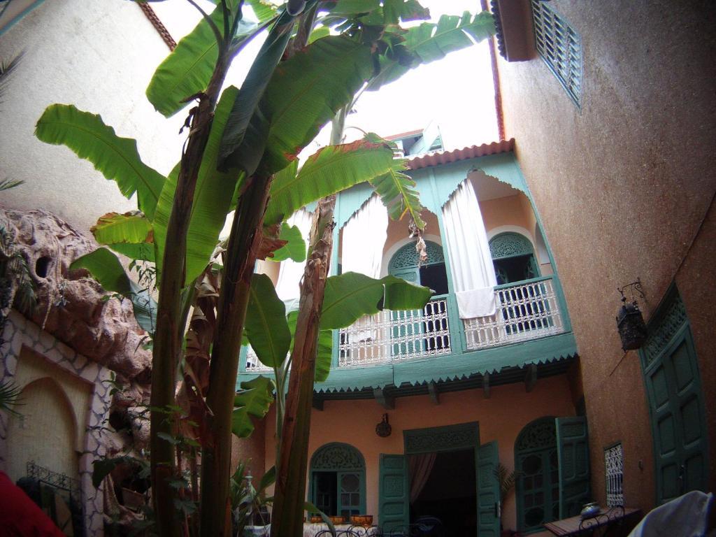 Riad Dar Mchicha Marrakesh Ngoại thất bức ảnh